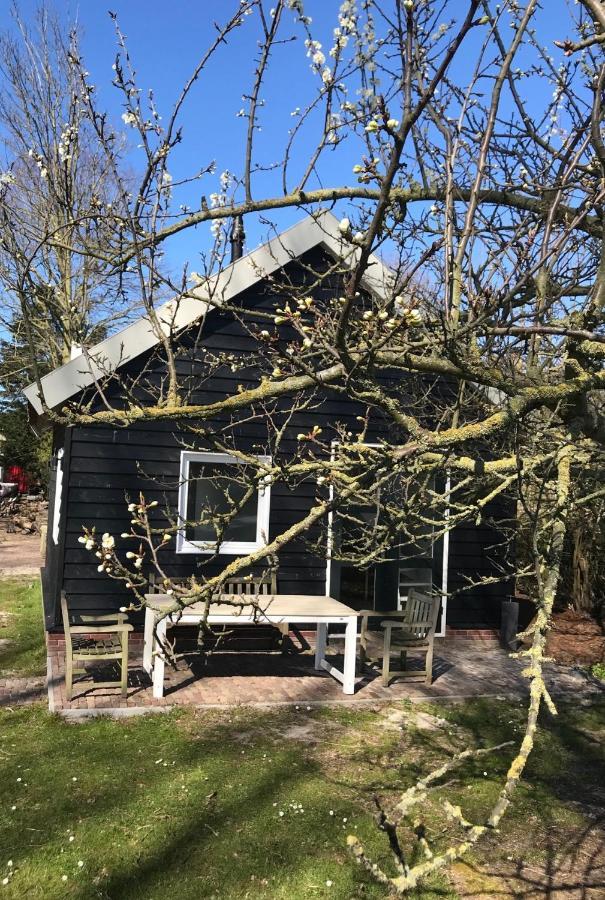 Ijsselmeer Lake Houses انديجك المظهر الخارجي الصورة