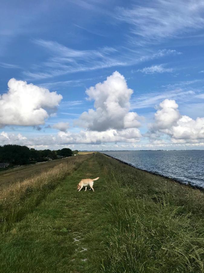 Ijsselmeer Lake Houses انديجك المظهر الخارجي الصورة